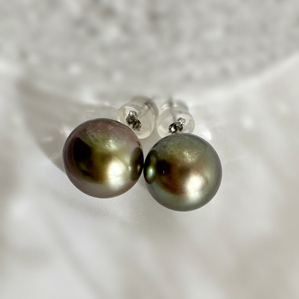 Tahiti   pearl brown color  nudeピアス 一点もの - hikari pearl.