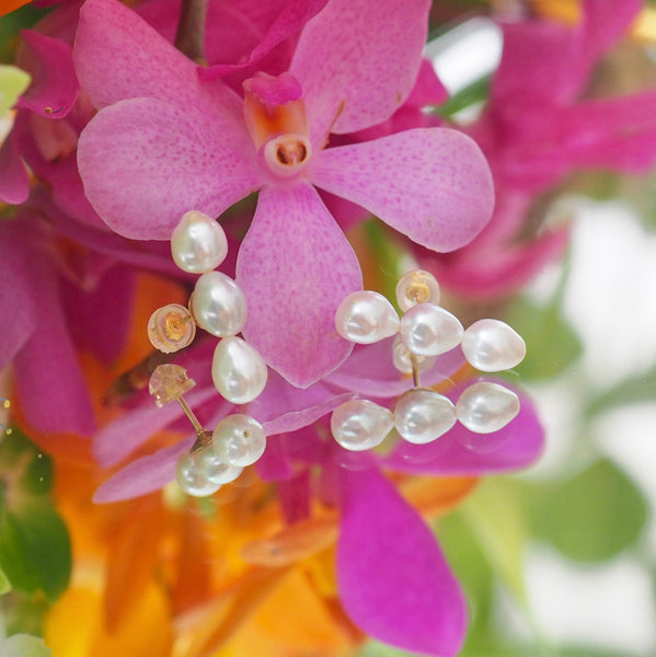 3 pearls teardrop ピアス イヤリング - hikari pearl.