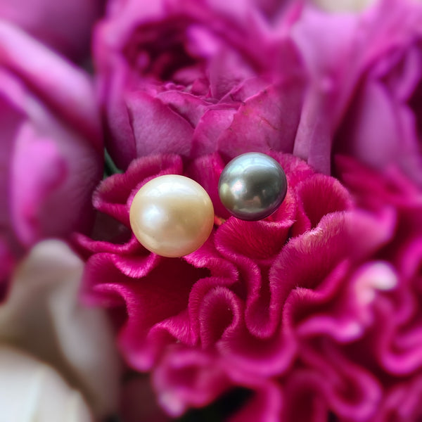 一点もの south sea pearl Tahiti    pearl  ring No.18 - hikari pearl.