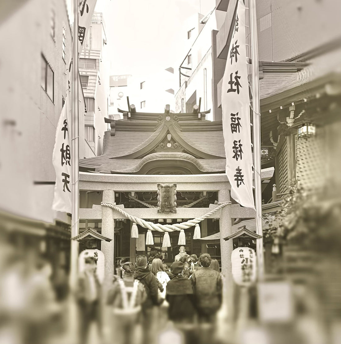 導かれるように訪れた日、小網神社にて⛩🐉