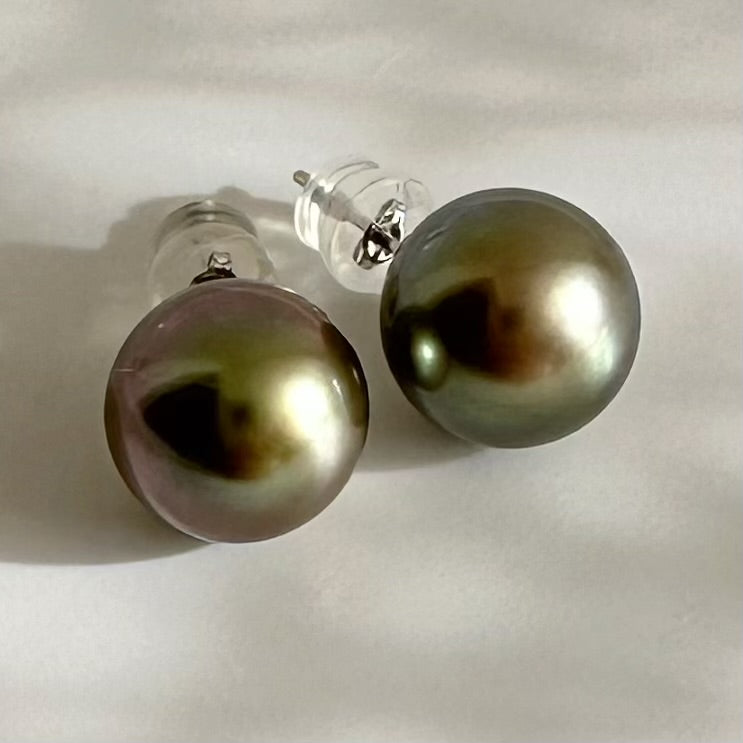 Tahiti   pearl brown color  nudeピアス　一点もの - hikari pearl.