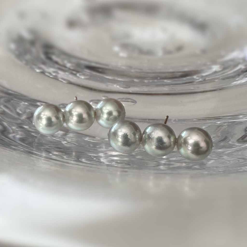 "Trio Perle Bleu トリオ・ペルル・ブルー"  ブルーアコヤパール 3粒ピアス / イヤリング - hikari pearl.