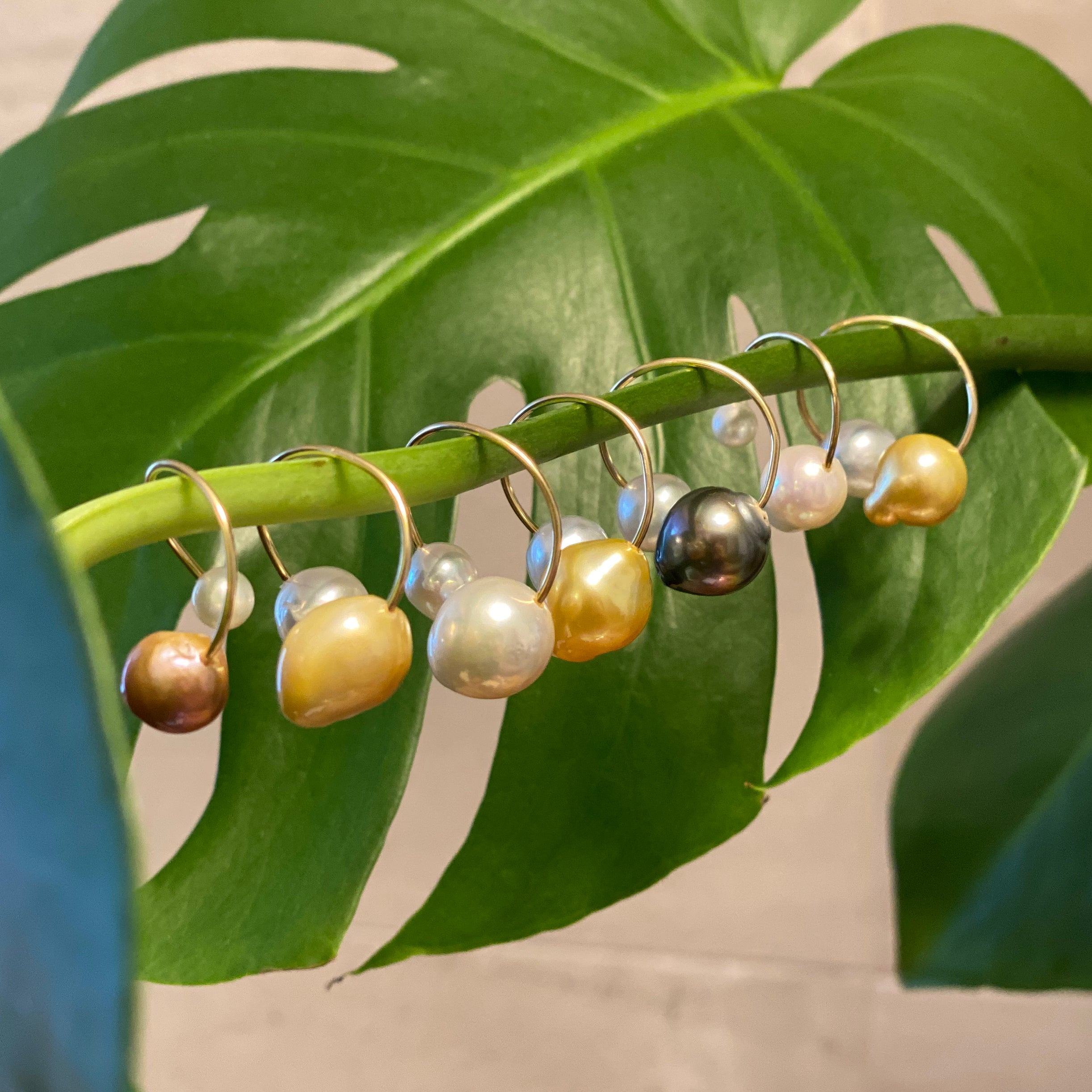 Tahiti  South Sea pearl イヤーカフ　リング - hikari pearl.